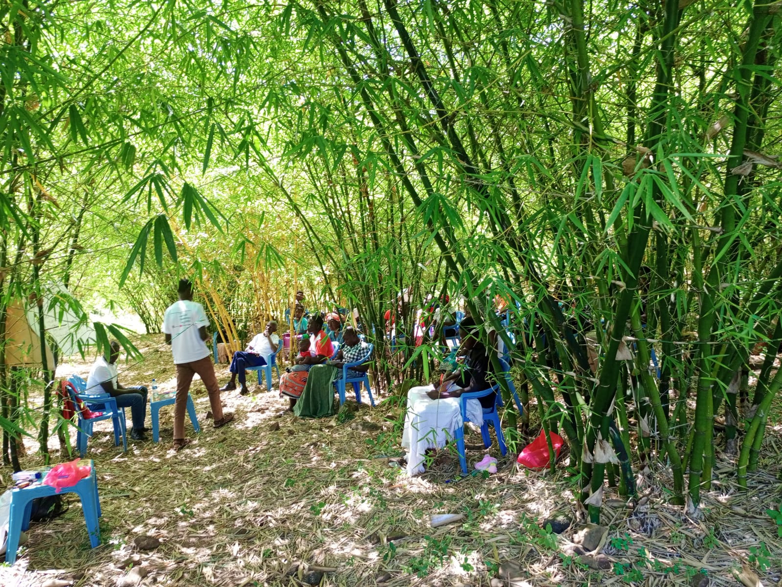 EcoGreen cooperative members and the Consuming Carbon team meeting under the bamboo canopy.