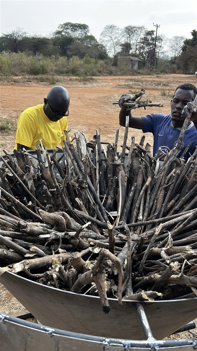 Two Farmer Care Cooperative members loading woody feedstock into the Kontiki kiln pan, carefully layering branches to ensure even airflow and clean pyrolysis.